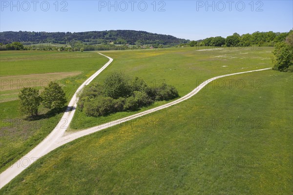 Fork in meadow with bushes