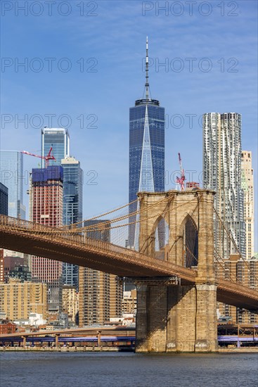 View from Main Street Park over the East River to the skyline of Lower Manhattan with Brooklyn Bridge