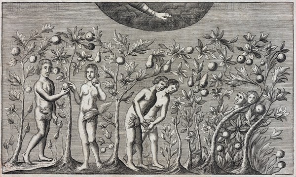 Adam and Eve