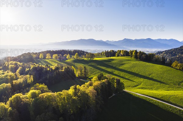 Buchberg near Wackersberg in the morning light