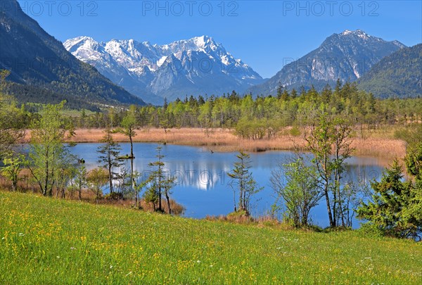 Moor landscape near the Seven Springs towards the Zugspitze massif in the Wetterstein range