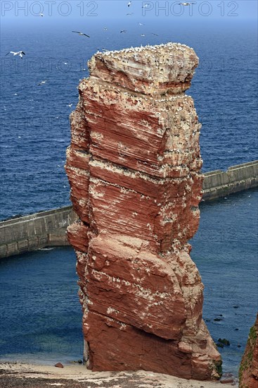 View to the landmark of Helgoland