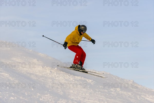 Skier