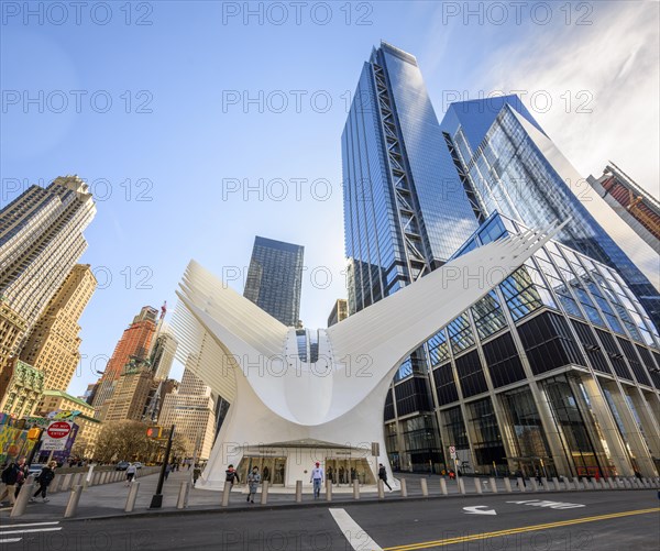 Oculus Station Subway Station