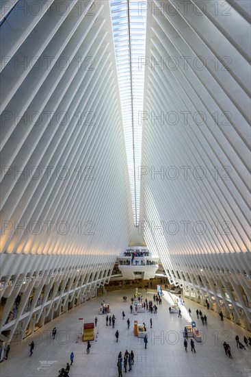 Oculus Station Subway Station