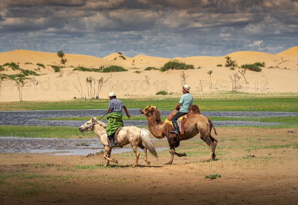 A horse rider pulling a camel rider