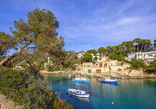 Fishing port in Cala Figuera