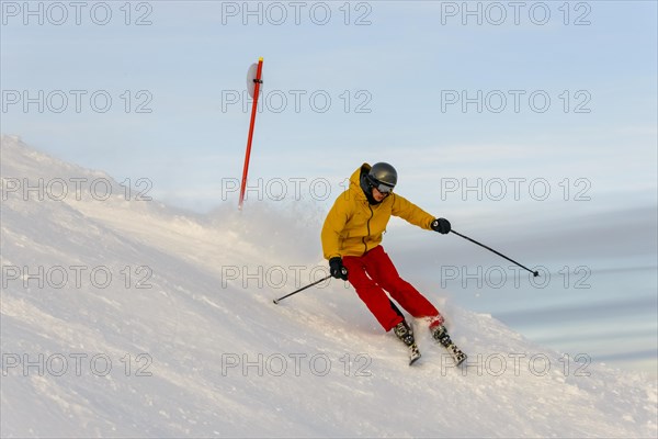 Skier