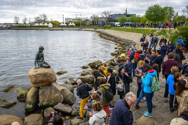 Tourists in front of the Little Mermaid