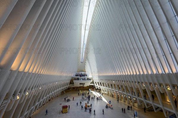 Oculus Station Subway Station