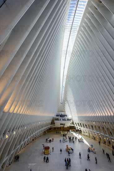 Oculus Station Subway Station