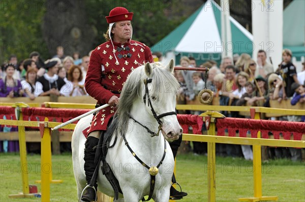 Rider on a grey horse