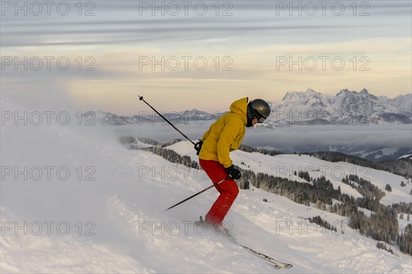 Skier