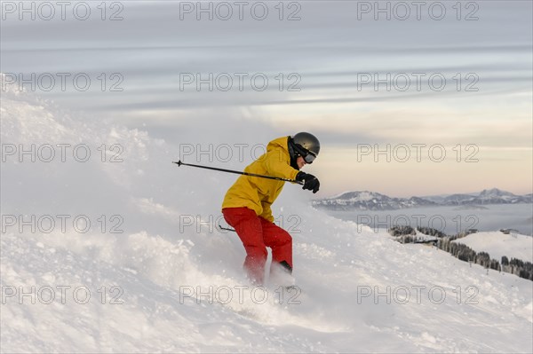 Skier