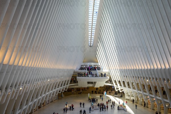 Oculus Station Subway Station