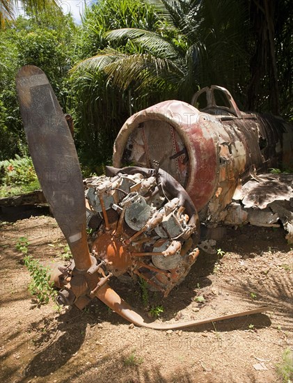 Japanese aircraft shot down