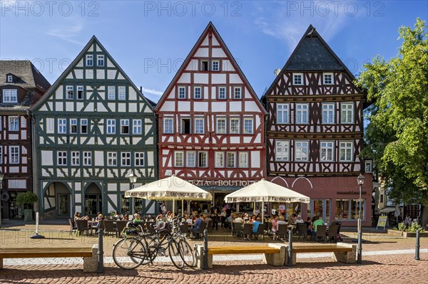 Historic half-timbered houses