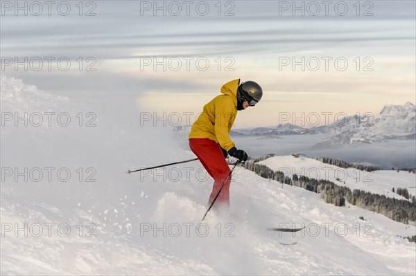 Skier