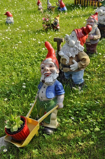 Garden gnomes