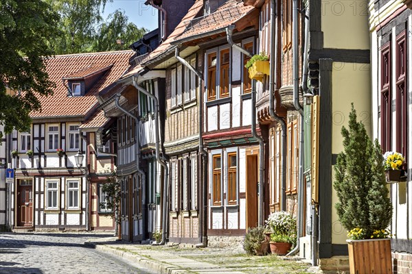 Alley with half-timbered houses and cobblestones