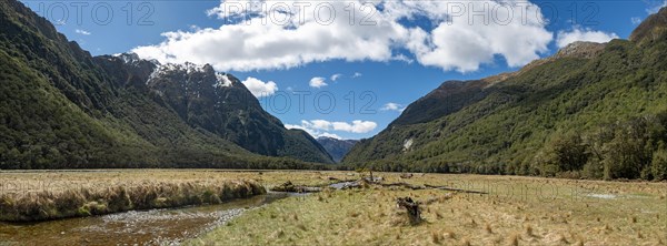 Mountain stream