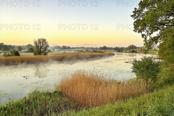 Stille Reuss Nature Reserve