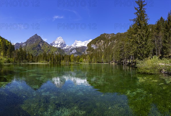 Schiederweiher