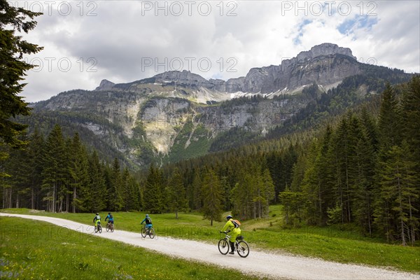 Mountain bikers at the Blaa Alm