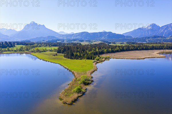 South shore of Hopfensee