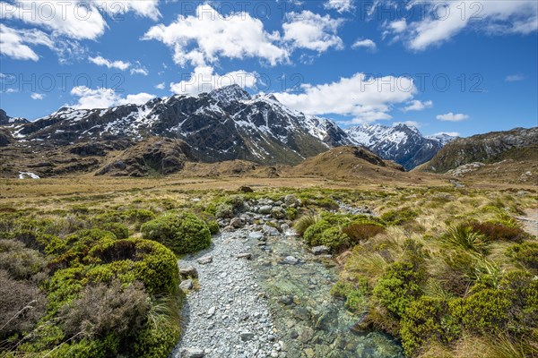 Mountain stream Route Burn and Mount Xenicus