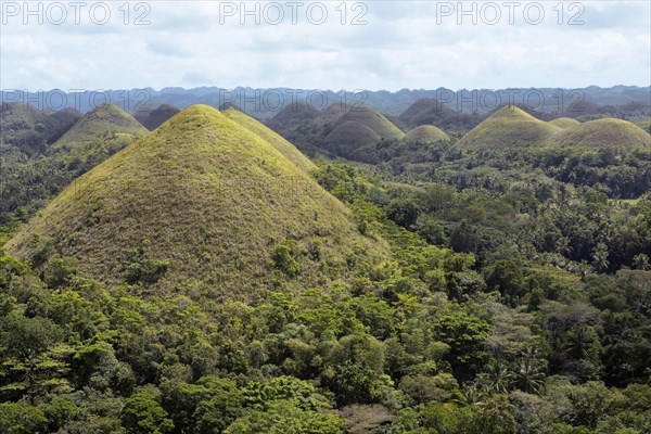 Chocolate Hills