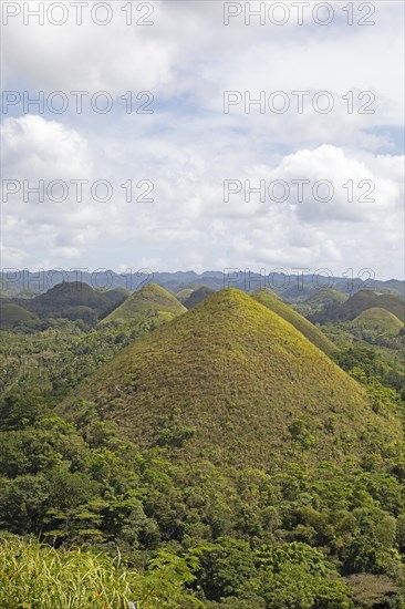 Chocolate Hills