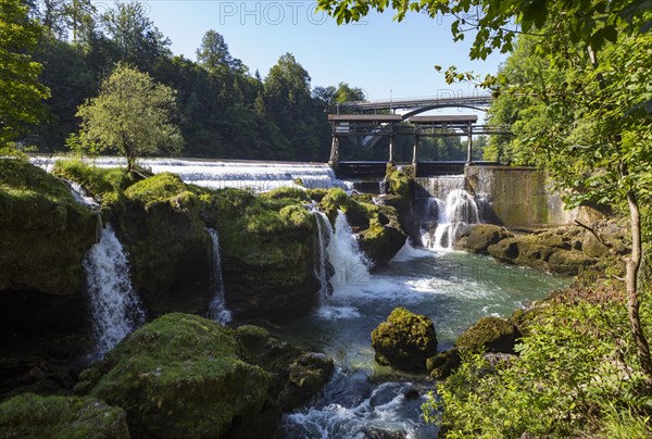 River Traun