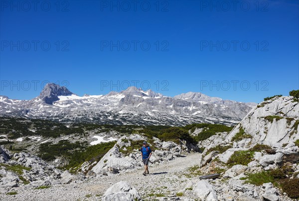 Hikers on the Heilbronn circular hiking trail