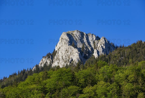 Summit of the Frauenkopf near Fuschl am See