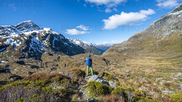 Hiker on the Routeburn Track