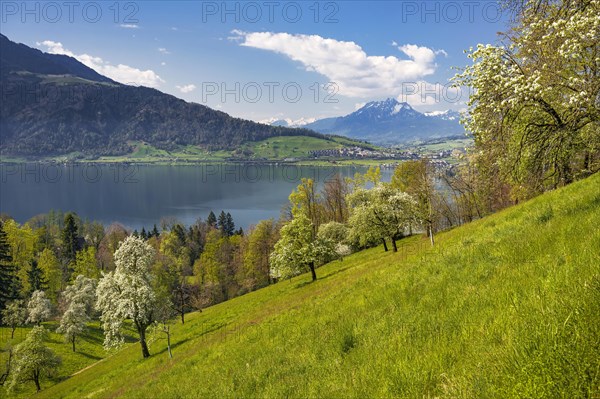 View of Lake Zug and Mount Pilatus