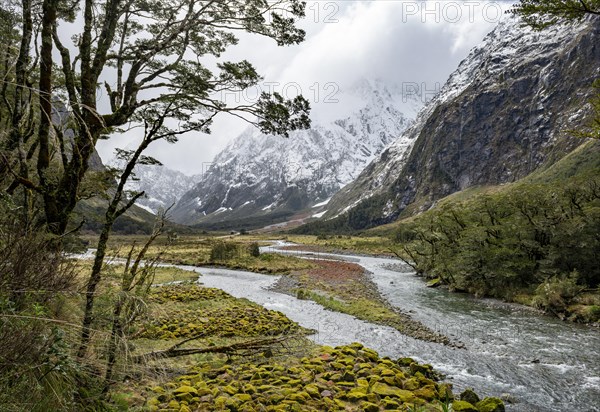 Valley with snow-capped mountains