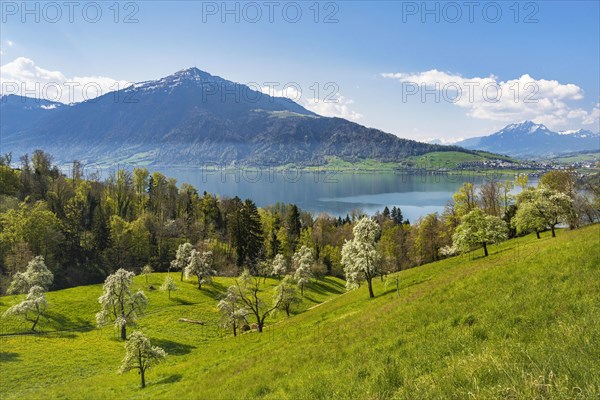 View of Lake Zug with Rigi and Pilatus