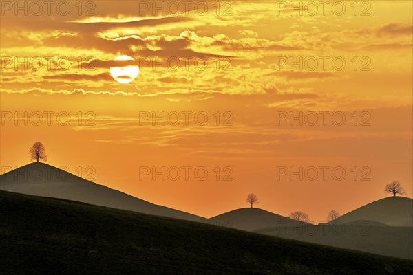 Cloud atmosphere at sunset with trees on moraine hills