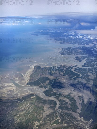 River delta