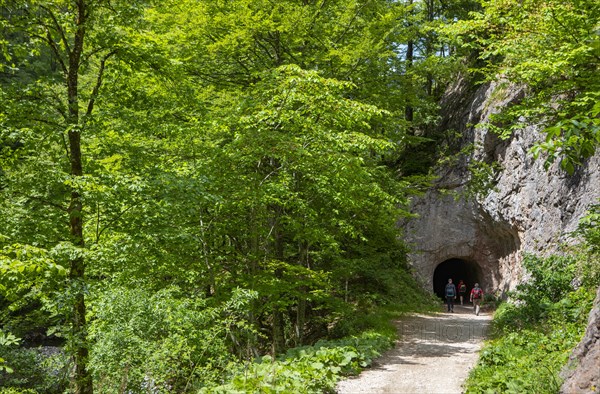 Hike from Rettenbachalm through Rettenbachtal to Blaa Alm