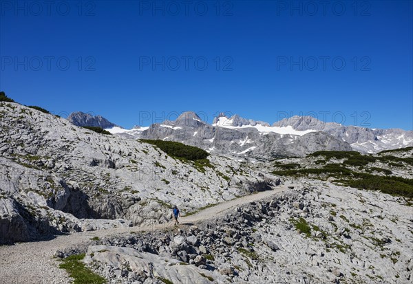 Hikers on the Heilbronn circular hiking trail