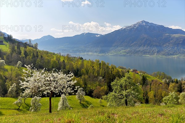 View of Lake Zug and Mount Pilatus