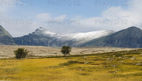Barren landscape in autumn