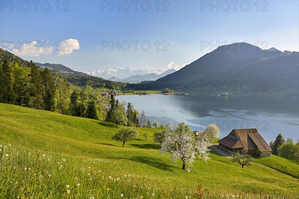 View of Morgarten at Lake Aegeri