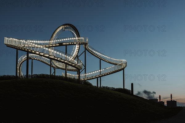 Tiger & Turtle