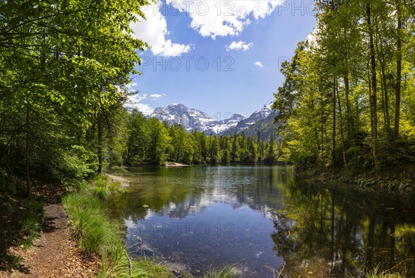 Kleiner Oedsee