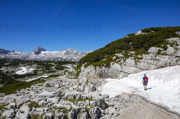 Hikers on the Heilbronn circular hiking trail