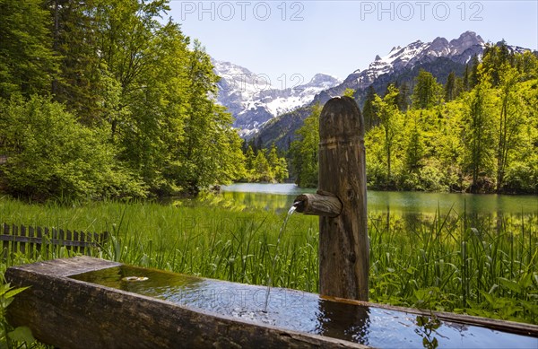 Holzbrunnen near the Grosser Oedsee